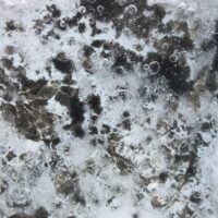dünne Eisschicht